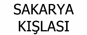 Sakarya Kışlası (Mineral Değişimi)